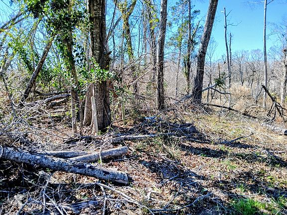 2nd image of None Dead River Rd