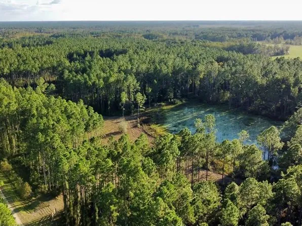 00 Waters Pond Rd, Chiefland, FL 32626