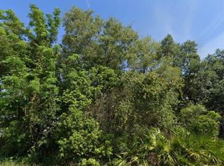 2521 Catfish Ct LOT 584, Lake Wales, FL 33898
