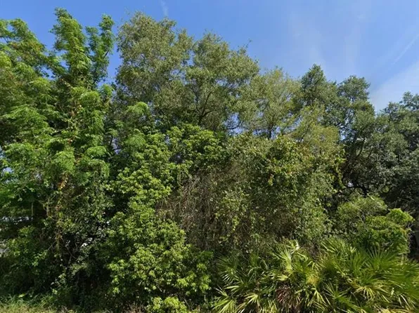 2521 Catfish Ct Lot 584, Lake Wales, FL 33898