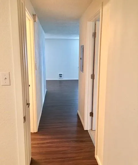 3202 Pacific Ave #8 — Photo 9