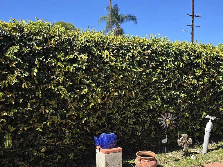 Daines Dr — Photo 17