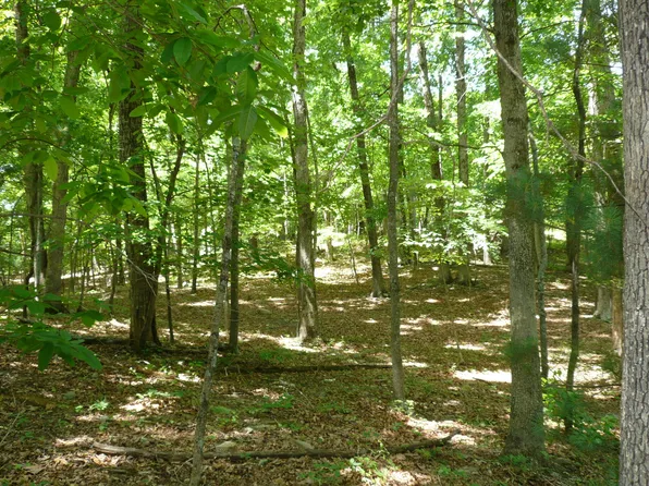 0 Givens Tyler, Salem, VA 24153