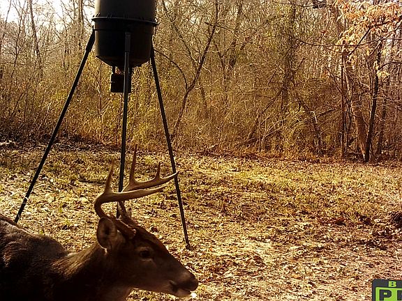 5th image of 1304 Coosa County Road 73