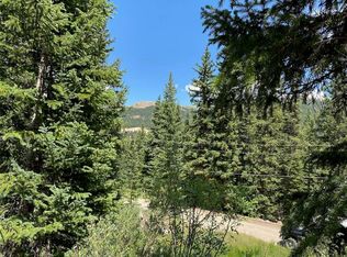 485 Peterson Dr, Alma, CO 80420