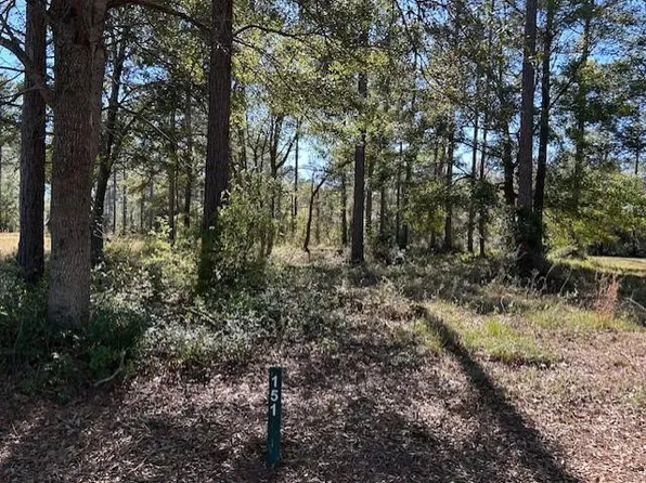 151 Sapelo Park Dr NE, Townsend, GA 31331