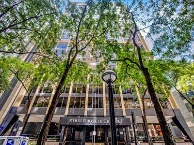 233 E Erie St APT 1703, Chicago, IL, 60611