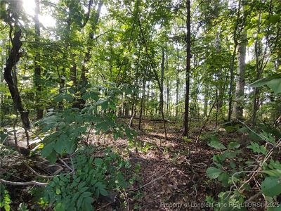 LOT 8 Lemon Springs Rd, Sanford, NC, 27332