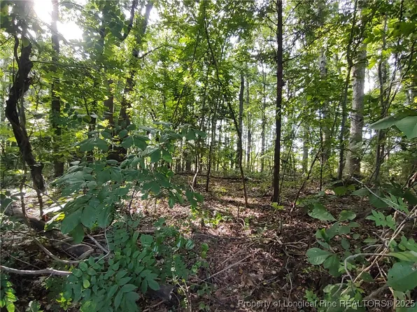 LOT 8 Lemon Springs Rd, Sanford, NC 27332