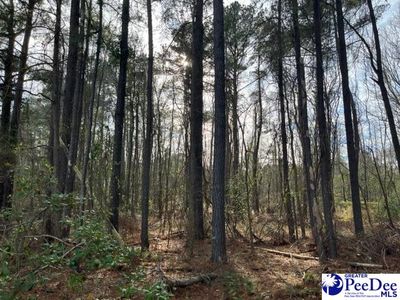 LOT 1 Log Cabin Rd, Darlington, SC, 29532