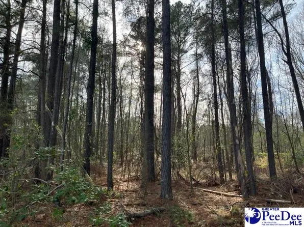 LOT 1 Log Cabin Rd, Darlington, SC 29532