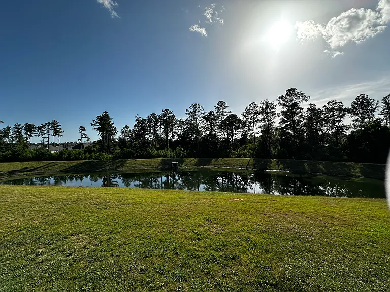 31280 Palladian Way — Photo 31