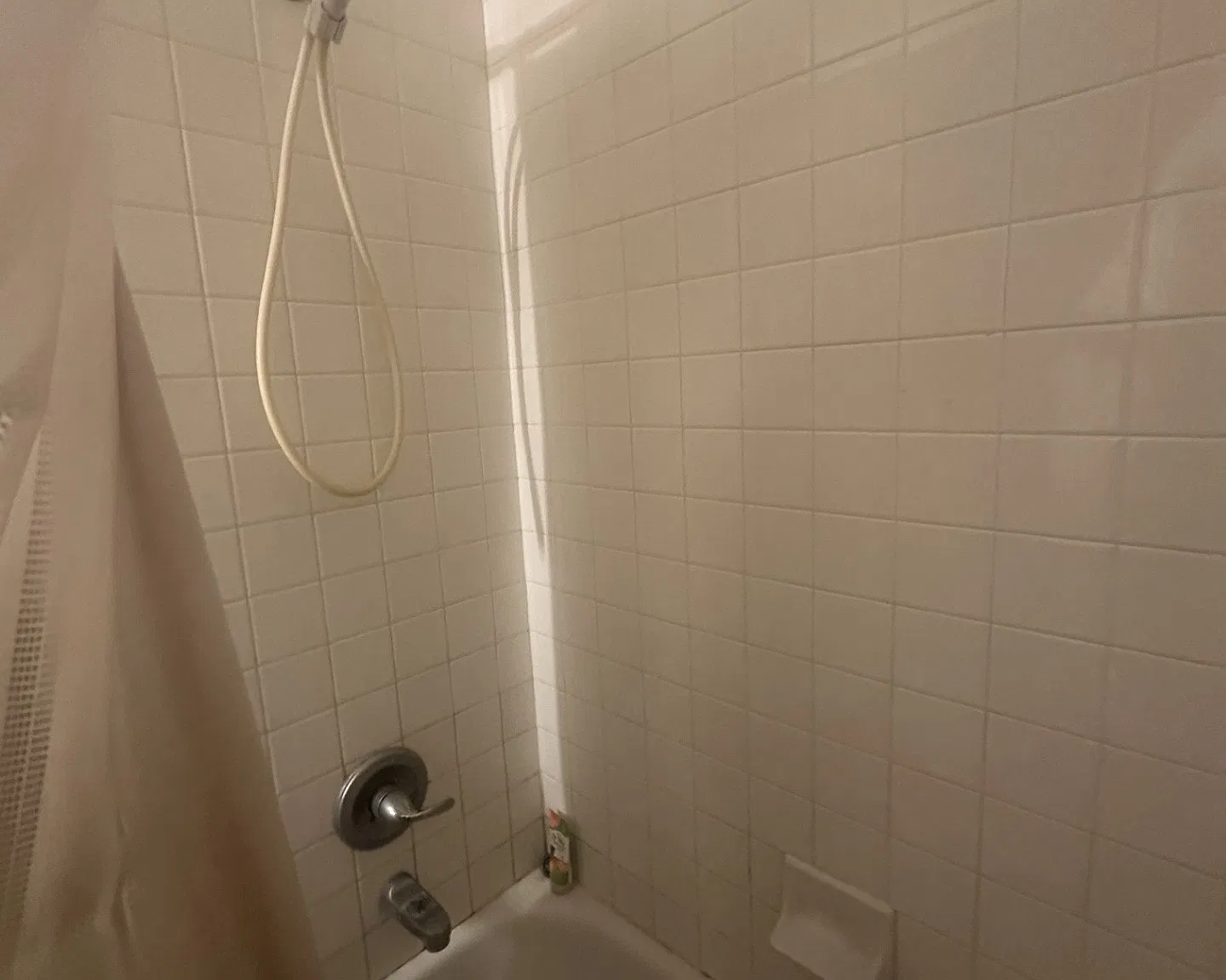 2 bed, 1008 sqft, $1,750 — Photo 3