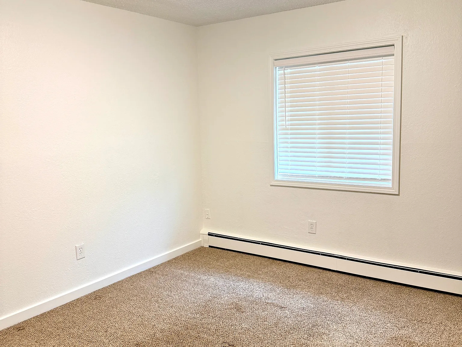 400 Dailey Ave — Photo 2