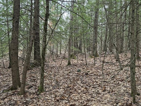 5th image of Pond Rd