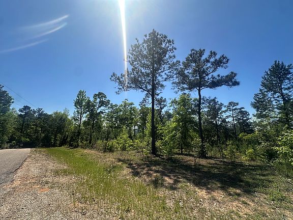 2nd image of 5534 County Road 97