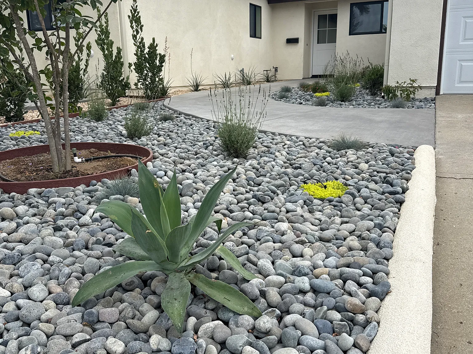 3 bed, 1242 sqft, $8,000 — Photo 2