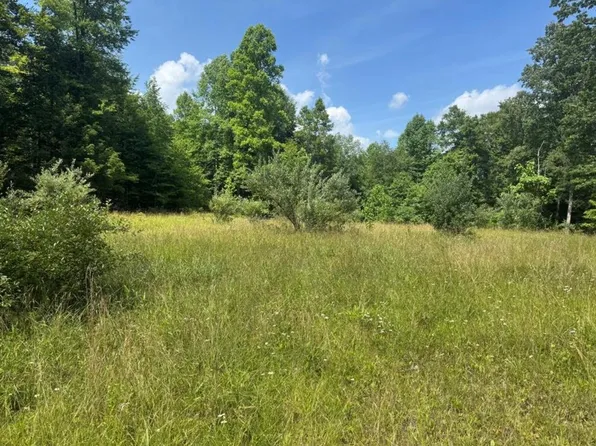 Elliott Rd, Hico, WV 25854