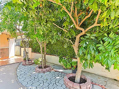 2 bed, 838 sqft, $3,850 — Photo 2
