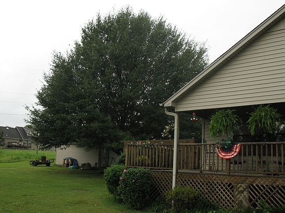 Rear Lawn and Side Deck