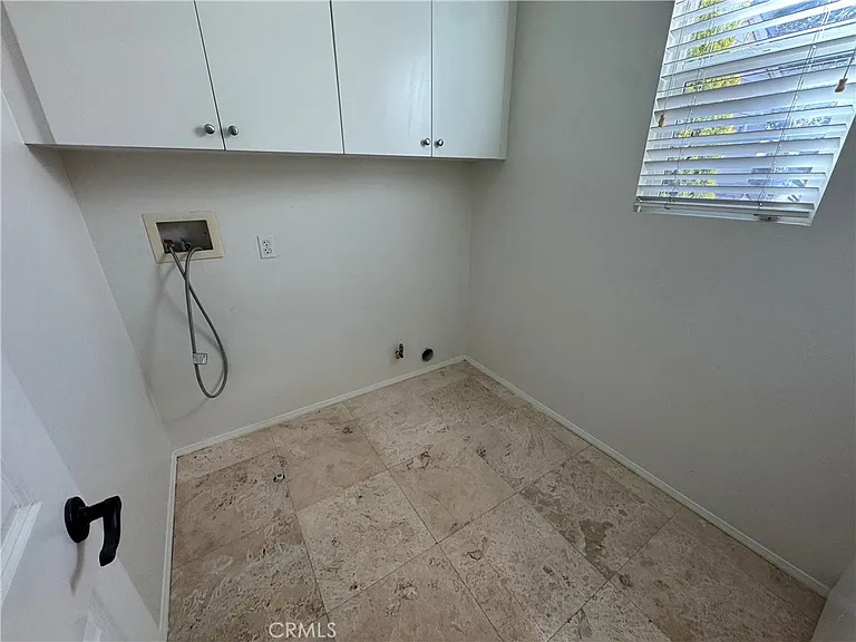 19 Coriander — Photo 16