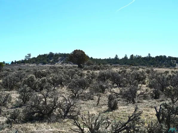 Pajarito Rd, Tierra Amarilla, NM 87575