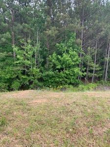 218 Lambert Overlook Cir #13, Carrollton, GA, 30117