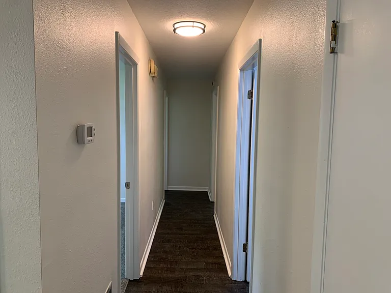 hallway leading from living room to bedrooms/bathrooms