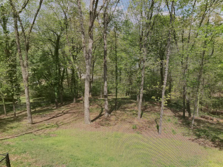 Access to Fully Fenced In Backyard