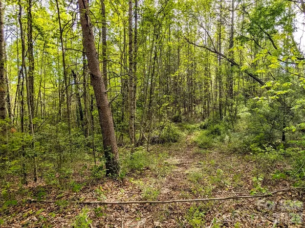 99999 Weldon Way, Fairview, NC 28730