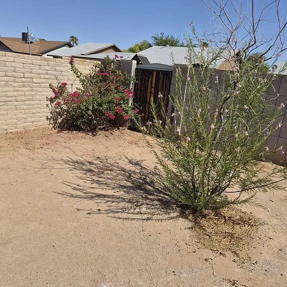 520 E Judi Dr — Photo 18
