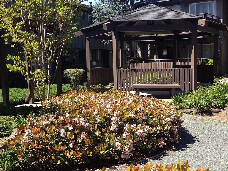 Pinehaven Garden Apartments — Photo 8