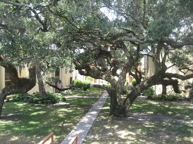 2 bed, 1000 sqft, $1,350 — Photo 2
