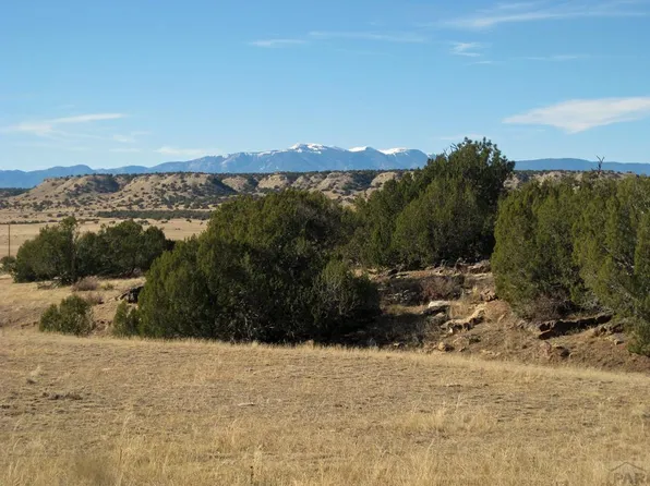 100 Narrow Gauge Way, Rye, CO 81069