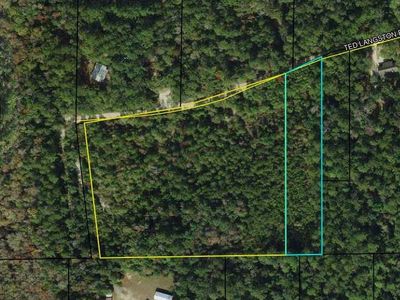 Xx Ted Langston Rd, Sopchoppy, FL, 32358