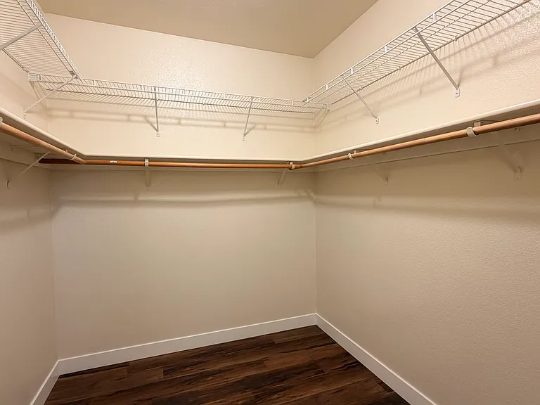 Master walk-in closet