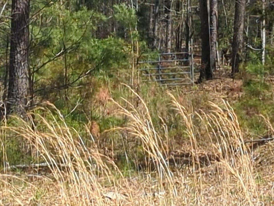 2nd image of Evergreen Rd