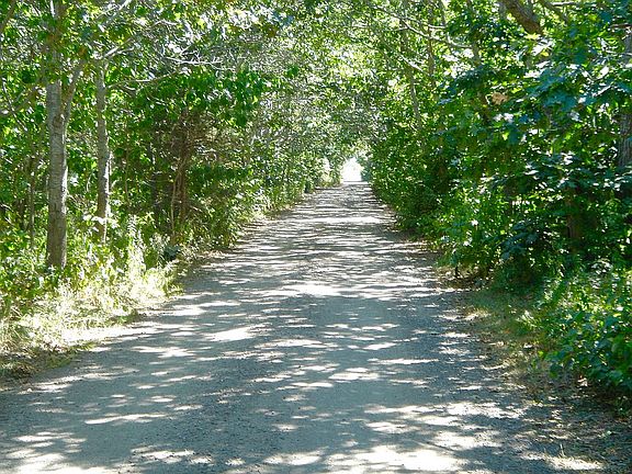 Street 1/4 mile to Katama Ba