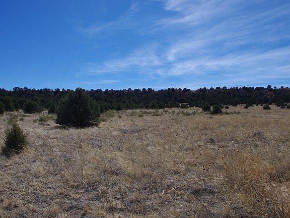 3rd image of LOT 65 Navajo Ranch Resorts #1