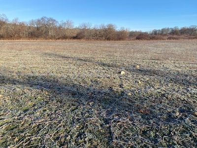 96 Broad St LOT 8, Rehoboth, MA, 02769