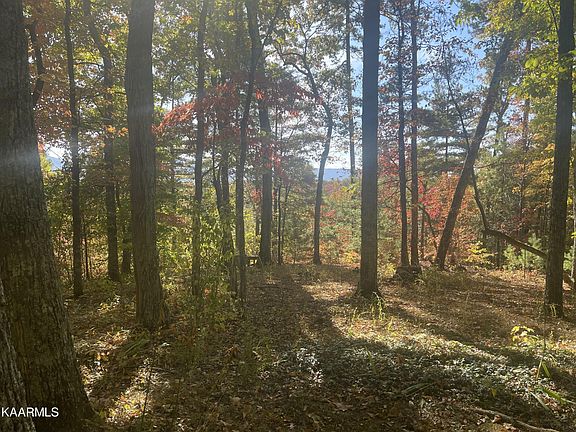 2nd image of 171 Sourwood Lakes Rd