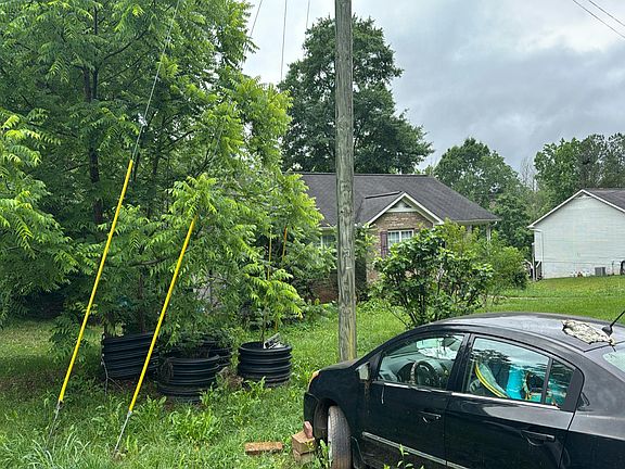 3rd image of 230 Dogwood Ave
