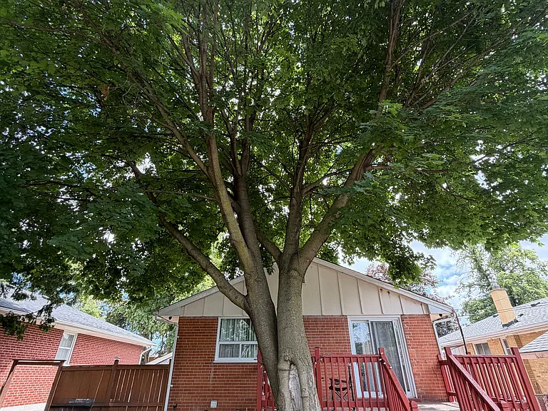 34 Ludgate Dr #BASEMENT — Photo 3