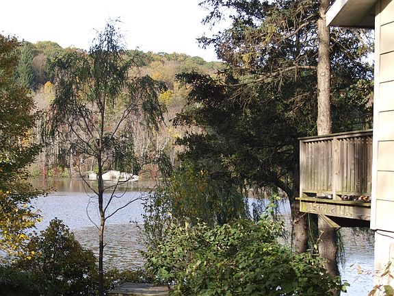 View from the Side Yard