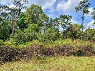 0 W Washington Ave, Pierson, FL, 32180