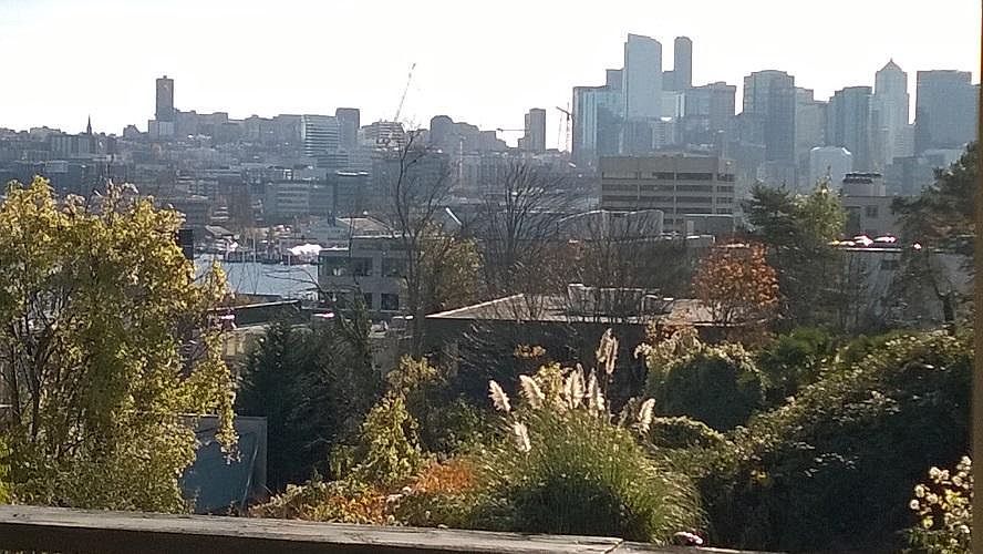 View from Living Room