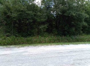10610 Allison Ave, Hastings, FL 32145
