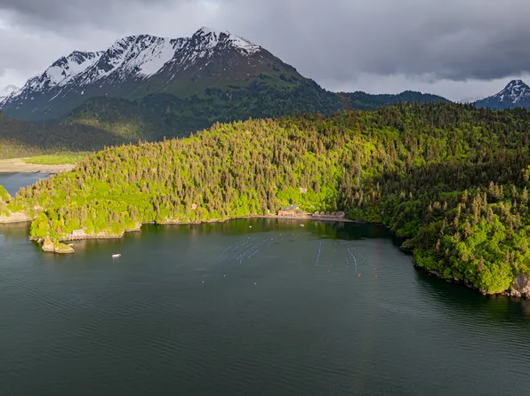 50815 Halibut Cv, Homer, AK 99603