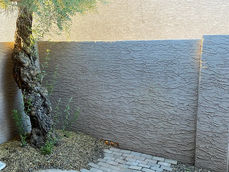 1976 N Lemon Tree Ln #11 — Photo 10