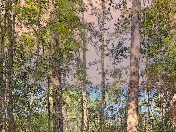 11 Gregory Ln Lot 11, New Waverly, TX 77358